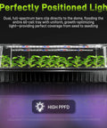 Seed Starter Kit With Grow Light For Seedlings, 120-Cell Tray With Self-Watering Germination System, Humidity Dome, 112 LED Pro Grow Lights