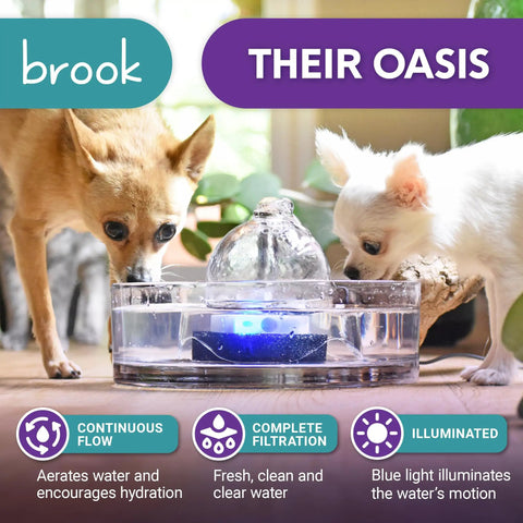 All Glass Pet Fountain 90oz 2.7L For Cats And Dogs, Glass Cat Fountain And Automatic Water Dispenser, Hygienic Drinking Stream, Leakproof Design, Easy Clean, Top Notch Hydration