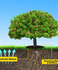 Illustration of a tree with 4 Pack 32.2 Inch Non Woven Tree Mulch Rings, showing weed barrier fabric protecting roots and absorbing nutrients.