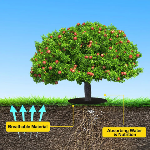 Illustration of a tree with 4 Pack 32.2 Inch Non Woven Tree Mulch Rings, showing weed barrier fabric protecting roots and absorbing nutrients.