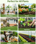 7-In-1 Soil Test Kit With Moisture, pH, Light, Fertility, Air And Soil Humidity And Temperature Meter With Large Dual Display used in various plant settings including indoor plants, flowers, lawn, vegetables, garden, and greenhouse.