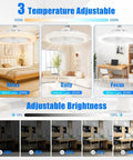 Socket Fan Light With Remote 10 Inch Ceiling Fan With Lights 2000 Lumens Dimmable LED Bulb Three Color Temperatures 3000K To 6500K