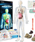 Glow In The Dark Skeleton Model Kit For Hands On Interactive Anatomy Practice 40 Piece Science Toy For Kids Ages 8 Plus combo