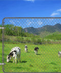 Two Pack Of Top Shelf 304 Stainless Steel Gate Hinges Rock Solid Heavy Duty Fence Hardware Built Like A Tank For Barn Doors And Sheds Fitting 1-3/8 Inch Posts With A 5/8 Male Pin For Super Smooth Swinging Action, installed on a chain link fence with cows grazing.