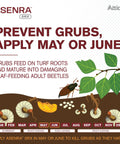 Diagram of grub lifecycle and prevention, including Liquid Grub Control For Lawns And Landscaping With Eighteen Point Four Percent Chlorantraniliprole