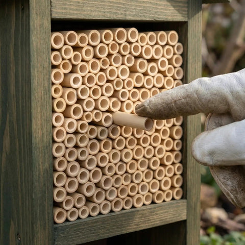 Mason Bee Tubes 300 Pack 6 Inch Pollinator Tubes For Beekeeping Outdoor Nesting Tubes Replacement Reed Habitat For Honey Bees