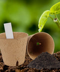 Seed Starter Tray Kit With 100 Biodegradable Peat Pots And 100 Plant Labels For Seedlings No Mess Easy Start Garden