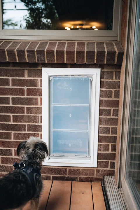 Premium Wall Mount Pet Door In White Xl Featuring Energy Efficient Double Flap Design with a dog looking at the door.