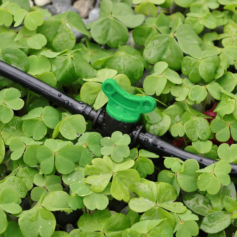 Quarter Inch Drip Irrigation Valves Set Of 30 Barbed Shut Off Switches for Four To Seven Millimeter Tubing, in garden setting