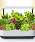 Over 20,000 Lettuce Seeds Pack With 10 Fresh Varieties For Indoor Or Outdoor Growing No Fuss Easy Grow For Beginners Great For Hydroponics Kit Non GMO Lettuce Mix For Crisp Salads Sandwiches And Wraps in white hydroponics container