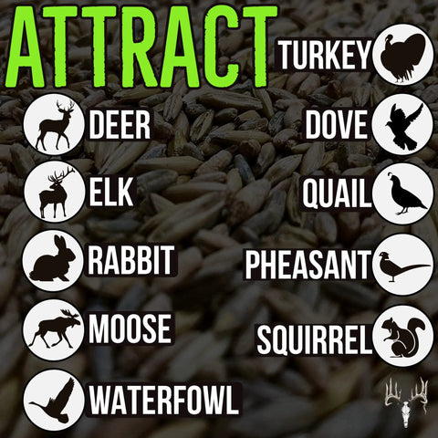 Last Resort Blend 12 Lb EcoPack Winter Deer Food Plot Seed Mix with Rye, Wheat, Barley symbols for attracting wildlife.