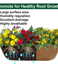 Rock Solid Metal Railing Planter Two Pack 24 Inch Rust Proof Window Box with natural coco liner showcasing vibrant flowers and roots.