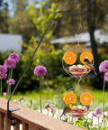 Outdoor Oriole Feeders With Fruit Holder No Fuss To Disassemble And Wash Sturdy Metal Frame Bird Feeders for garden railing