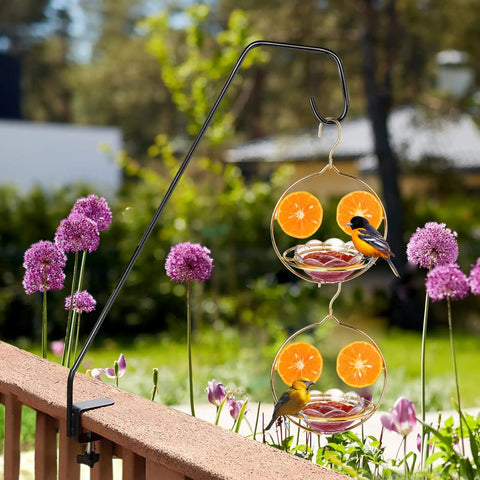 Outdoor Oriole Feeders With Fruit Holder No Fuss To Disassemble And Wash Sturdy Metal Frame Bird Feeders for garden railing
