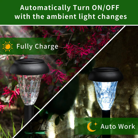 12 Pack Solar Lights Outdoor Waterproof IP65 Cool White Pathway Landscape Lighting for Garden Patio Yard Walkways
