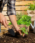 Indoor Herb Garden Starter Kit With Basil Parsley Rosemary Thyme And Mint Includes Planter Box Soil Discs Planters Markers Pruners Spray Bottle Mini