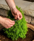 Hands connecting tubing from Drip Irrigation Repair And Expansion Kit With 102 Universal Parts, 100 Feet Self Dispensing One Quarter Inch Tubing