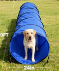 Labrador in blue Foldable 10 Foot Dog Agility Tunnel With Carry Bag And Ground Spikes on grass, 24-inch entrance diameter.