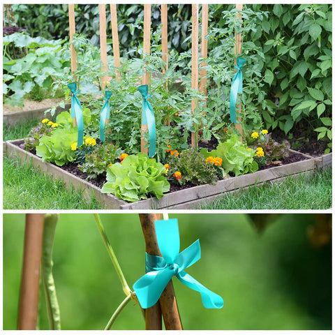 Ultra Stretch Garden Tie Tape 1 Inch Wide 200 Foot Reusable Green Plant Ties in greenhouse with tomatoes and wooden stakes.