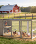 Large 93.6 Inch Backyard Chicken Coop With Run For 6 To 8 Hens, Wooden Outdoor Hen House in a pastoral farm setting