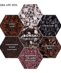 Pro Grade Bonsai Soil Mix For Thriving Indoor Bonsai Trees With Superior Drainage And Aeration hexagon ingredient layout