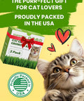 Indoor Cat Grass Kit 3 Pack Quick Grow With Eco Friendly Biodegradable Pots Soil And Wheatgrass Seeds packaging with a cat