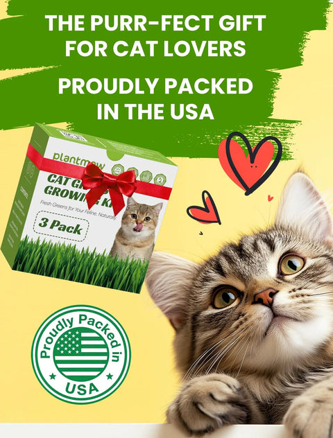 Indoor Cat Grass Kit 3 Pack Quick Grow With Eco Friendly Biodegradable Pots Soil And Wheatgrass Seeds packaging with a cat