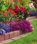 Decorative Garden Fence Panels 10 Pack, 22 Inch High By 13 Inch Wide Metal Border Edging For Outdoor Patio And Yard installed along flower bed