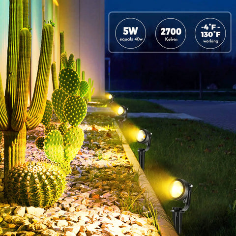 Low Voltage LED Landscape Lighting Kit With Transformer 5W 24V Outdoor Spotlight illuminating cactus garden