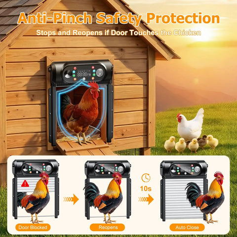 Hands-Free Solar Powered Automatic Chicken Coop Door With Large 9.45 X 10 Inch Opening Roll-Up Opener Light Sensor Timer and Remote shown in action.