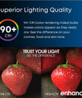 90+ CRI comparison showing strawberries under low and high CRI lights