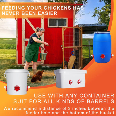 No Waste Chicken Feeder With Automatic Poultry Dish Dispenser And Easy Refill Design For Coop Organization Keeps Feed Fresh And Clean Prevents Spills Great For Backyard Hens And Small Flock Owners Who Want Low Maintenance Care