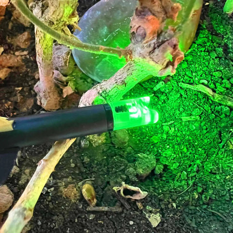 Lighted Nocks For Crossbow Bolts Universal Fit With Four Size Bushings.285.297.300.305 ID Half Moon Design Green Light Up Nocks with LED