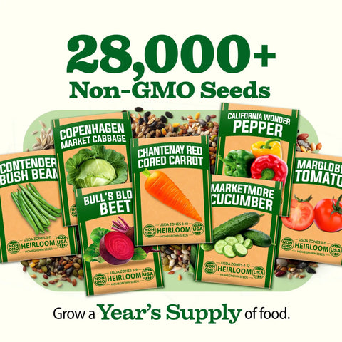 Image showing seed packets of various vegetables, part of Survival Seed Vault With 55 Heirloom Varieties And 28000 Seeds Non GMO For Year Round Gardening Easy Germination Emergency Food Supply And A Family Friendly Garden Starter Kit For Home Growers And Greenhouse Enthusiasts.