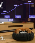 QuietTek sound levels graph with dog and cat sleeping on a bed, showcasing decibels from breathing to conversation in a living room.