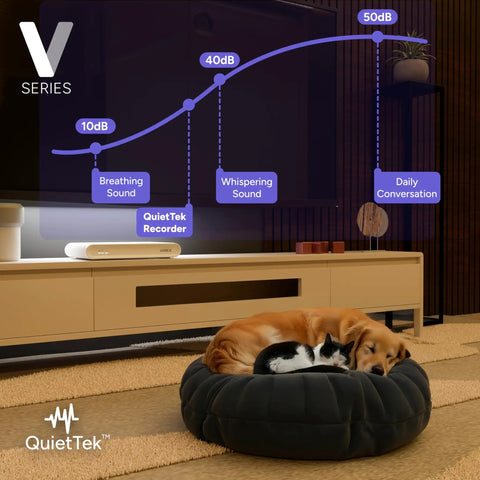 QuietTek sound levels graph with dog and cat sleeping on a bed, showcasing decibels from breathing to conversation in a living room.