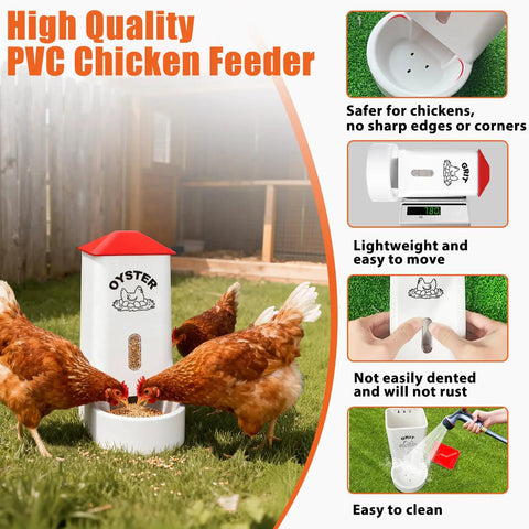 Heavy Duty 2 Pack Poultry Grit And Oyster Shell Feeder With Clear Viewing Window And Quick Drainage Holes Crafted For Chill Backyard Homesteaders And Flock Keepers Everyday, chickens feeding.
