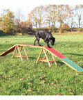 Agility Dog Walk Ramp With Color Coded Contact Zones for Safe Training Confidence Building Balance Drills outdoors with black dog