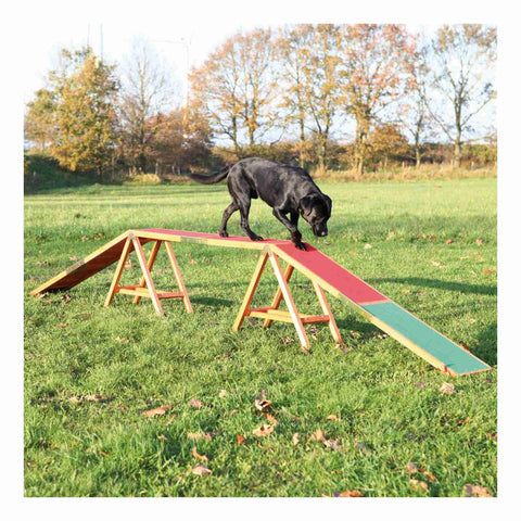 Agility Dog Walk Ramp With Color Coded Contact Zones for Safe Training Confidence Building Balance Drills outdoors with black dog