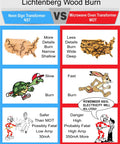 Comparison chart of Lichtenberg Wood Burning Transformer and Microwave Oven Transformer for wood burn effects and safety features.