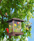 Solar Bird Feeder And Lantern For Outdoors Chew Proof Metal Feeder With Big Two And A Half Pound Seed Capacity hanging in tree