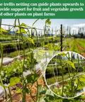 Heavy Duty Garden Trellis Netting 5 By 15 Feet Polyester Nylon Square Mesh for Climbing Plants in outdoor garden