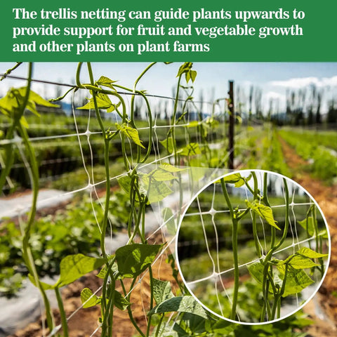 Heavy Duty Garden Trellis Netting 5 By 15 Feet Polyester Nylon Square Mesh for Climbing Plants in outdoor garden