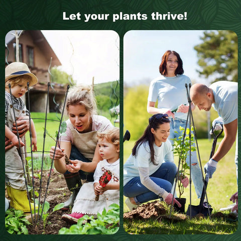 Two families setting up Outdoor And Indoor Garden Trellis With 47 Inch Obelisk And Tomato Cage Two Easy Setup Options Rustproof Plant Support