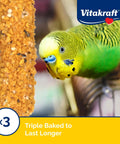 Crunch Sticks Variety Pack Parakeet Treats For Your Feathered Buddy With Orange Apricot Flavor Egg Honey Flavor Sesame Banana
