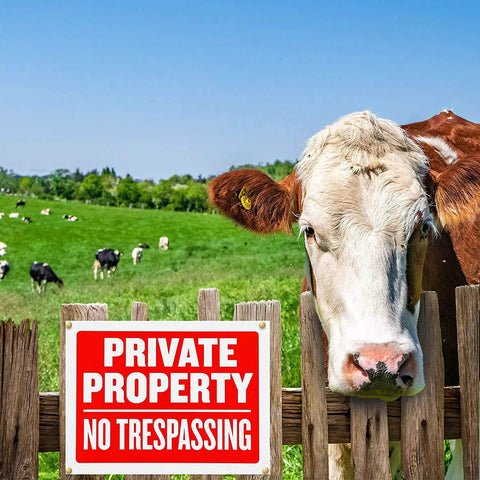 Cow near a Private Property No Trespassing Signs 9x12 Inches Weatherproof And Water Resistant 4 Pack Easy Mount Durable Ink
