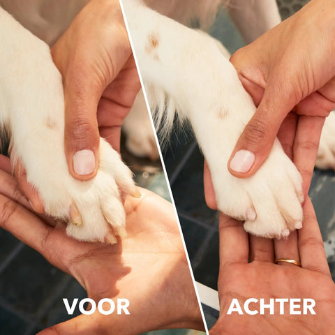 No-Fuss Rechargeable Pet Claw Grinder For Dogs And Cats Quiet Lightweight Rotary Nail Trimmer With Built-In Battery 12000 Rpm before and after nail care hands showing the difference.