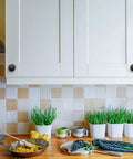 Matte Black Zinc Kitchen Cabinet Knobs And Drawer Pulls Set installed on white cabinet doors in a modern kitchen