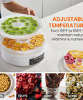 Total Game Changer Digital Food Dehydrator With Five Roomy Trays Variable Heat Controls And An Easy Forty Eight Hour Timer So You Can Turn Out Crispy Snacks Smooth Jerky And Dried Herbs Daily with dried fruits on trays.