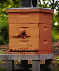 Two Pack Telescoping Bee Hive Cover for 10 Frame Hives, Metal Lid With Wooden Core, in use on Langstroth beehive outdoors